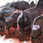 rat_swarm.png
